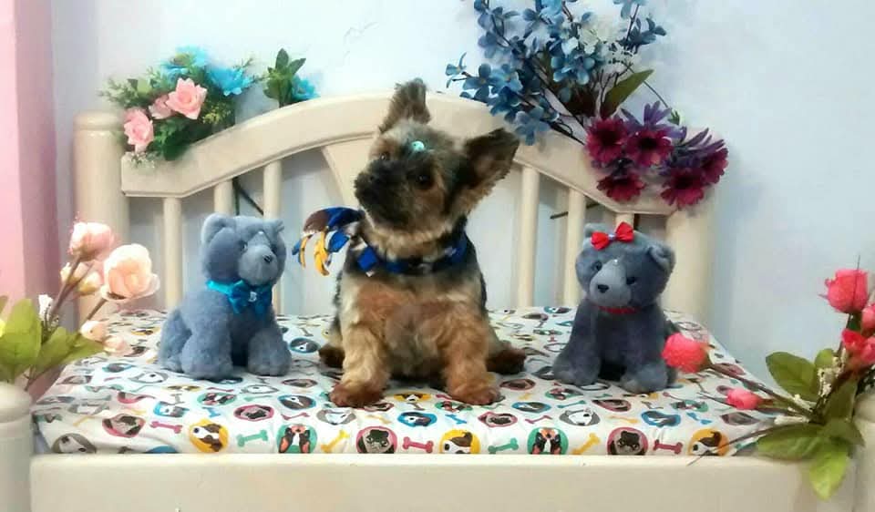 WhatsApp Image 2025-09-11 at 20.00.30 WhatsApp Image 2025-09-11 at 20.00.30