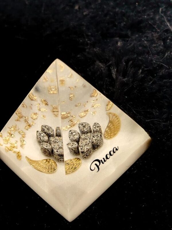 WhatsApp Image 2025-09-14 at 10.09.08(1) WhatsApp Image 2025-09-14 at 10.09.08(1)