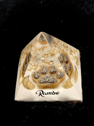 WhatsApp Image 2025-09-14 at 10.09.12(1) WhatsApp Image 2025-09-14 at 10.09.12(1)