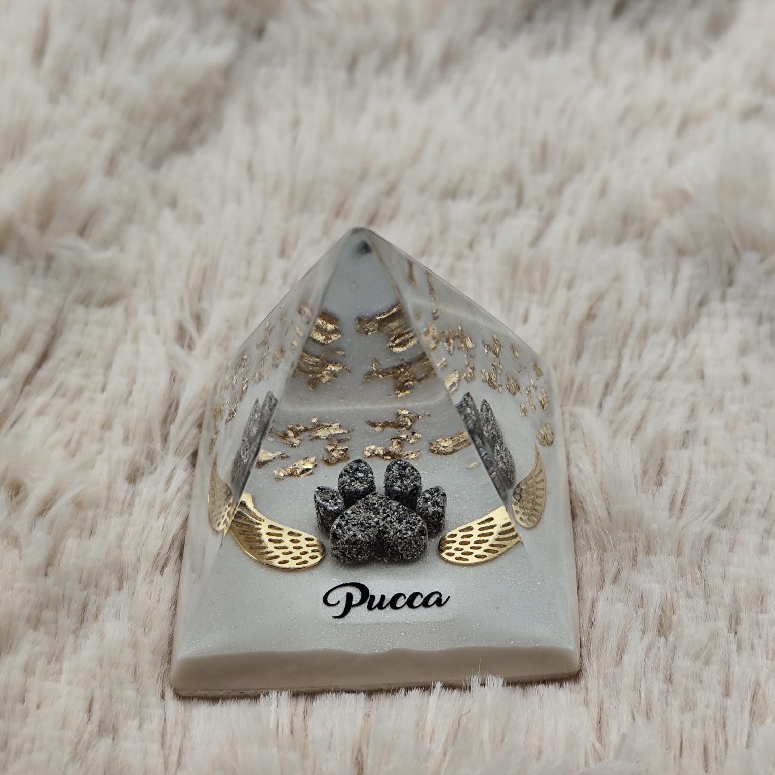 WhatsApp Image 2025-09-22 at 14.51.38