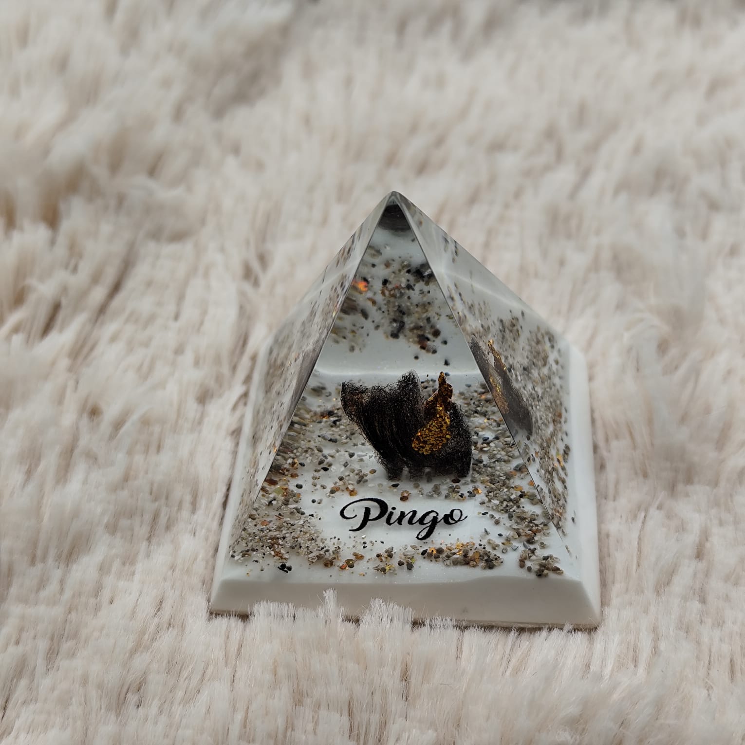 WhatsApp Image 2025-09-22 at 14.53.15