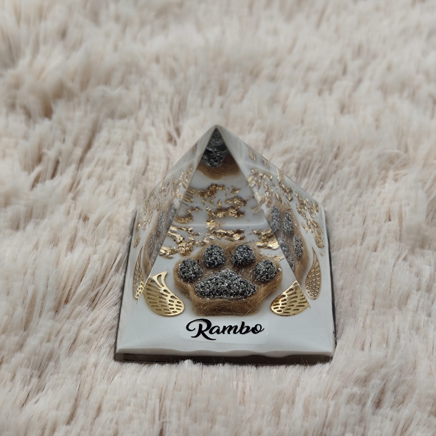 WhatsApp Image 2025-09-22 at 14.55.36