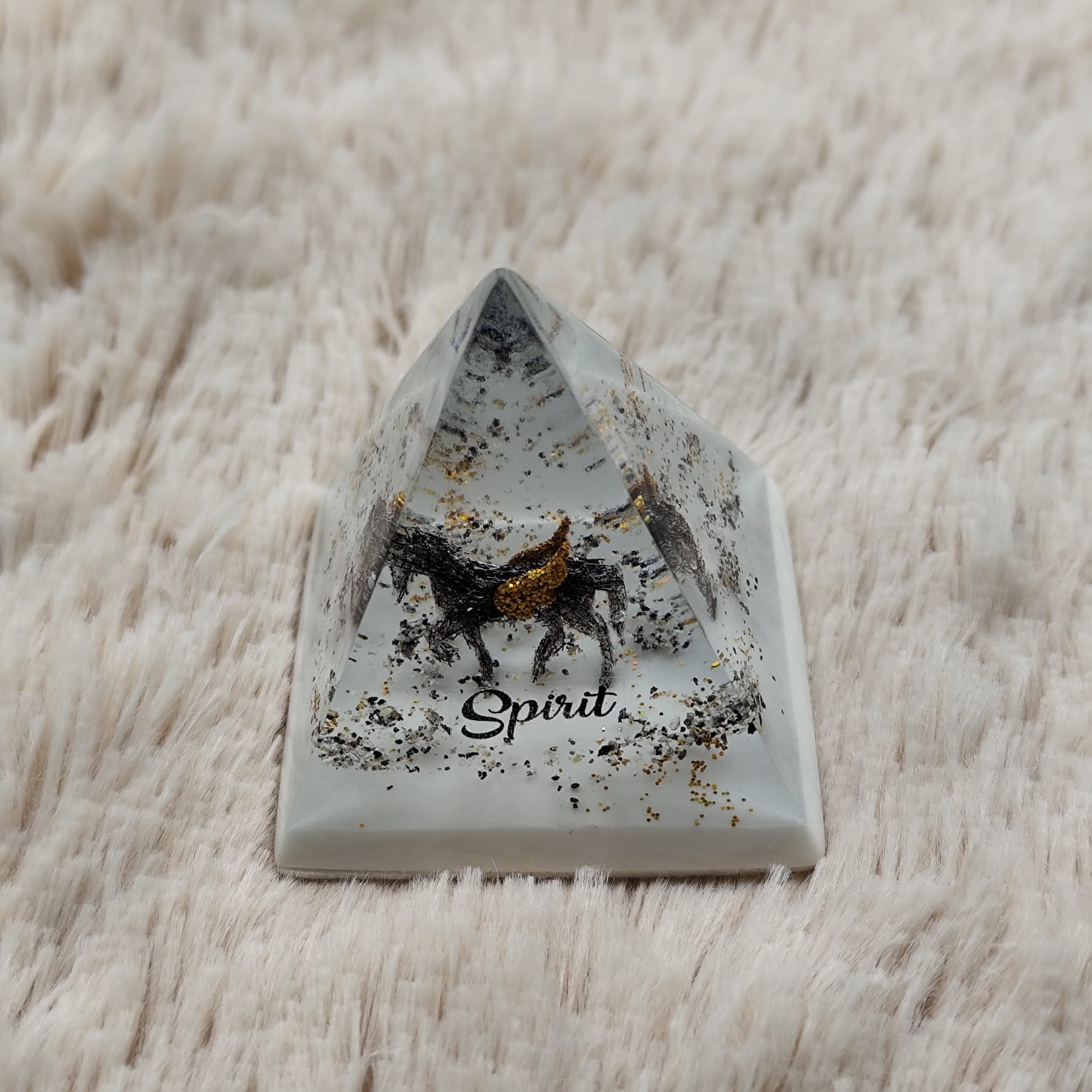 WhatsApp Image 2025-09-22 at 14.56.31