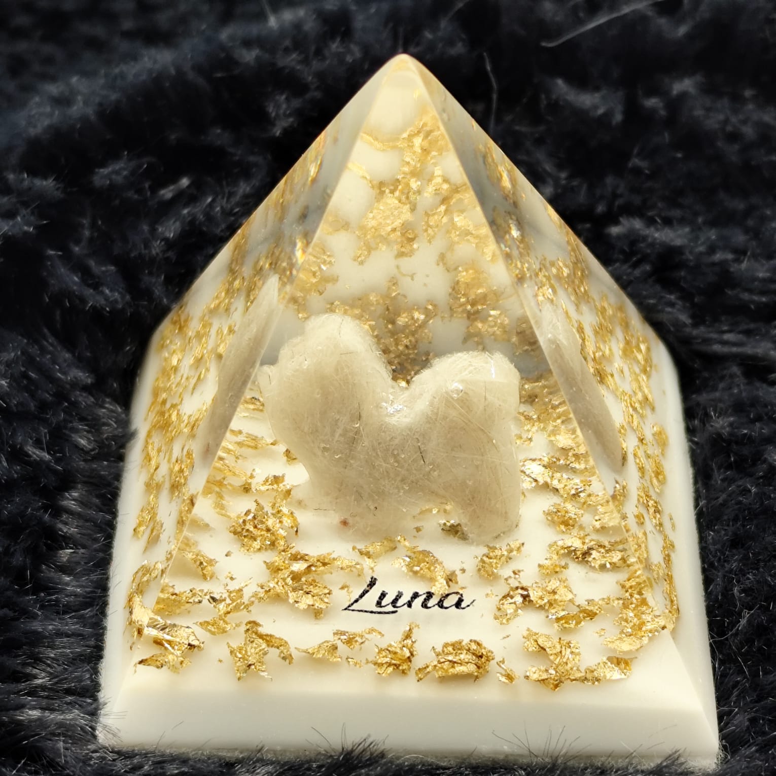 WhatsApp Image 2025-09-22 at 15.01.42