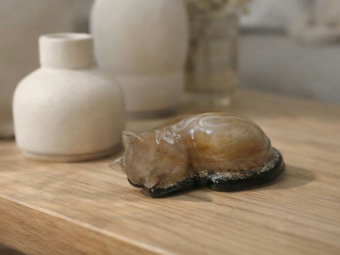 WhatsApp Image 2025-12-31 at 10.10.10(1)