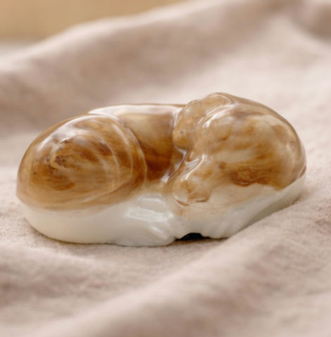 WhatsApp Image 2025-12-31 at 10.10.14