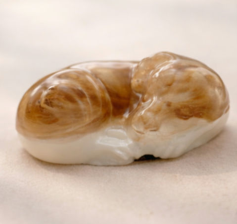 WhatsApp Image 2025-12-31 at 10.10.14(2)