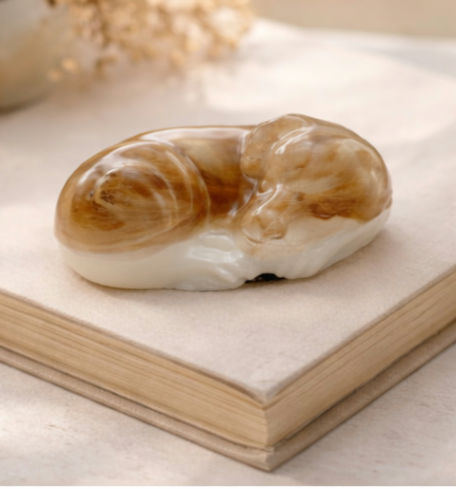 WhatsApp Image 2025-12-31 at 10.10.14(3)